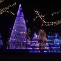 Admission Cost for Festivals in Gulfport, Mississippi: Get Ready for the Fun!