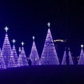 Discounts for Students and Seniors at Gulfport, Mississippi Festivals